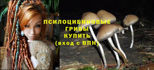таблы Верхний Тагил