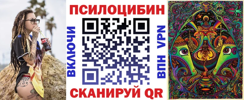 как найти наркотики Далматово Псилоцибиновые грибы ЛСД